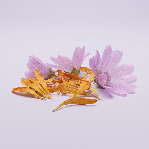 Calendula e Malva Bio